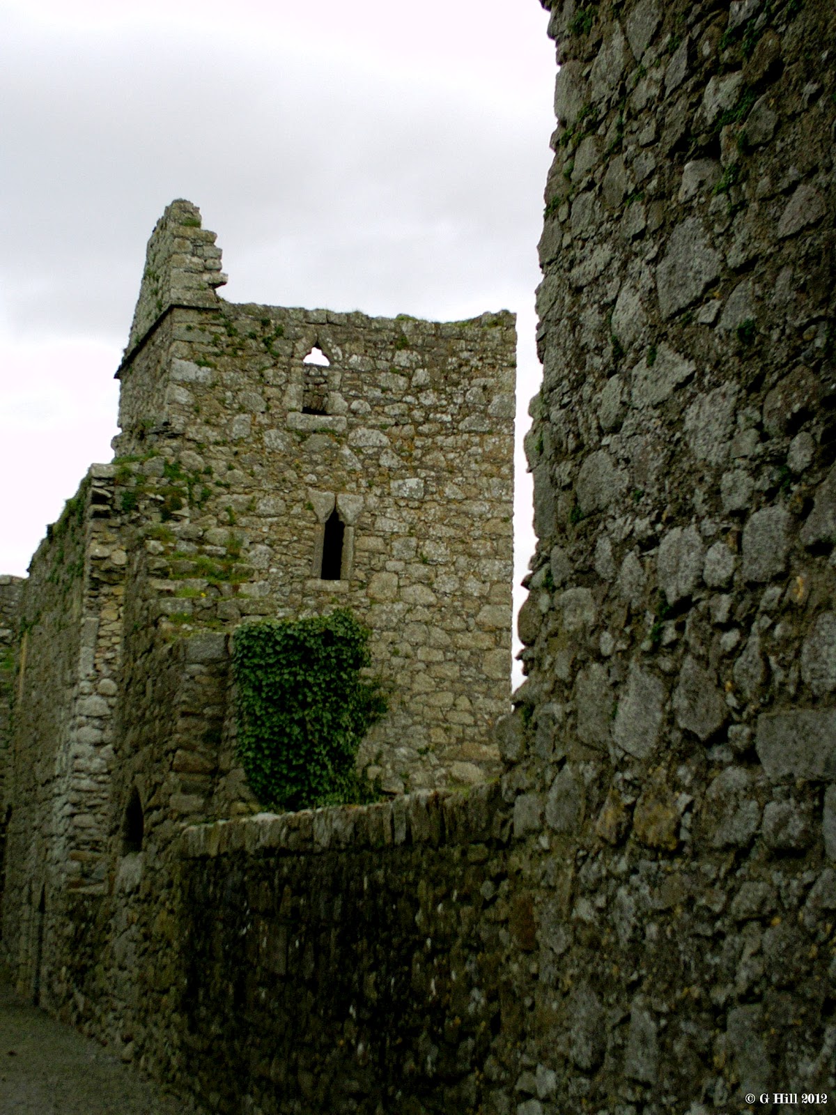 Ireland In Ruins Castledermot Abbey Co Kildare