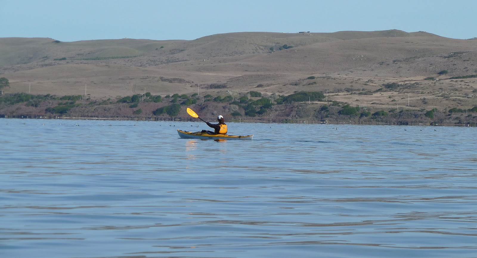 NORCAL YAK Kayaking Tomales Bay on a mild winter weekend