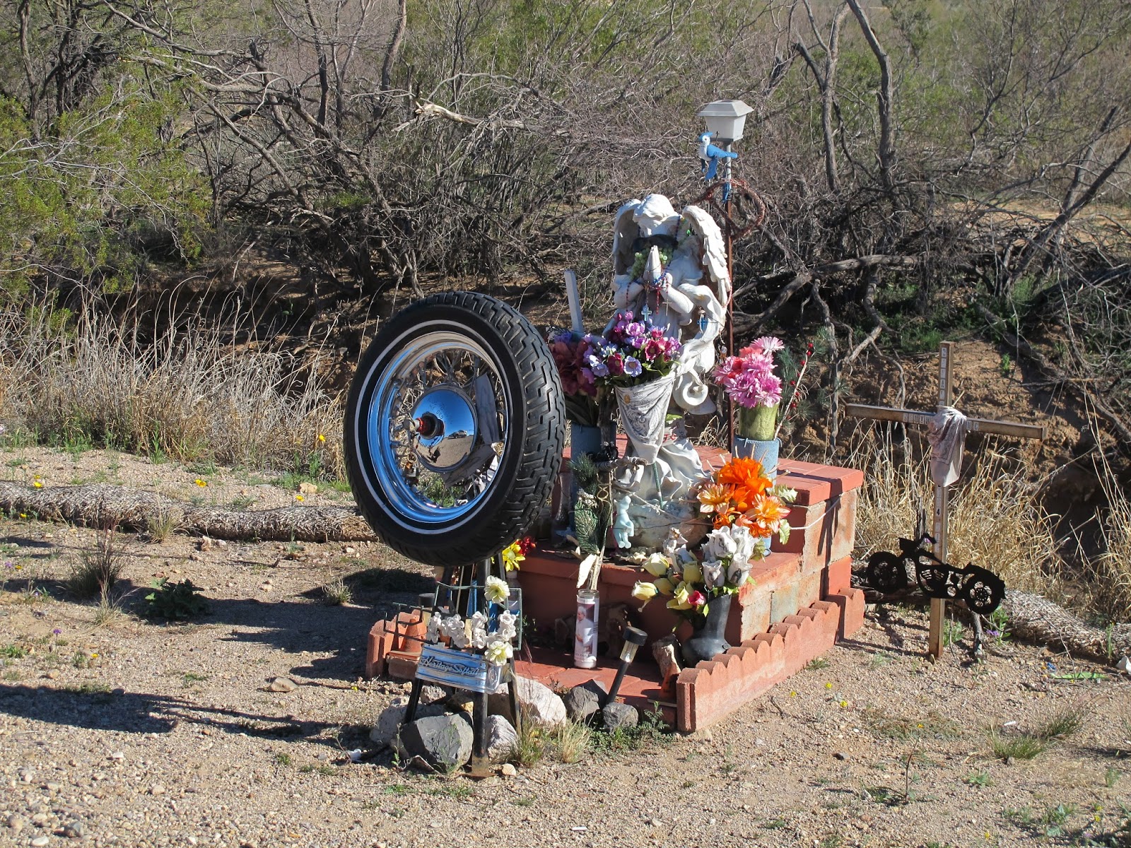 On the Road to Sells Arizona Dan330