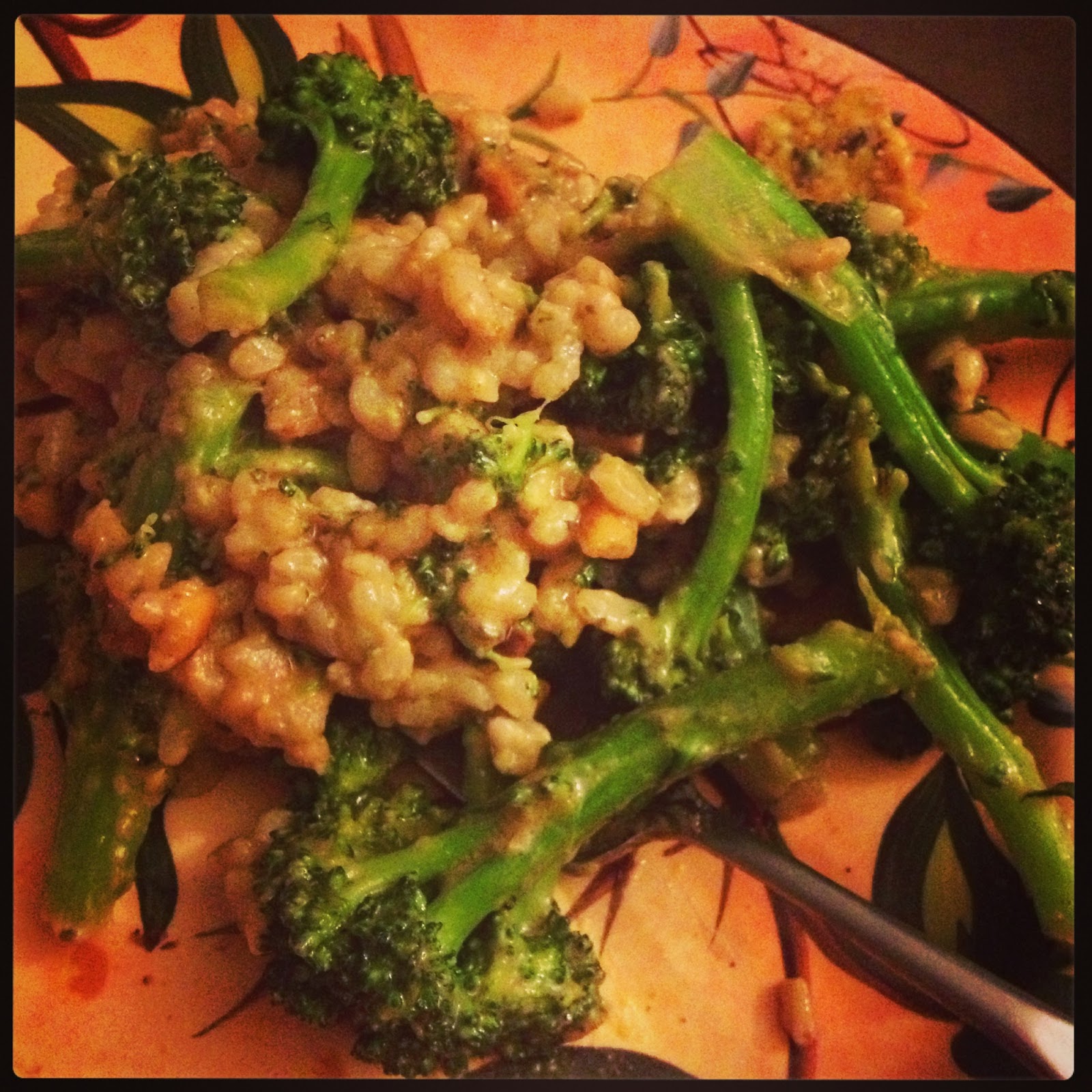 vegan reira peanut sauce broccoli stir fry!