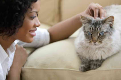 How to be with your Pet Without Unleashing Allergies