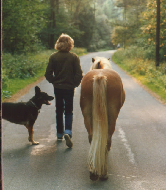 Tagebuch der Schamanin Kiat Polizeihund beißt Kinder was läuft da
