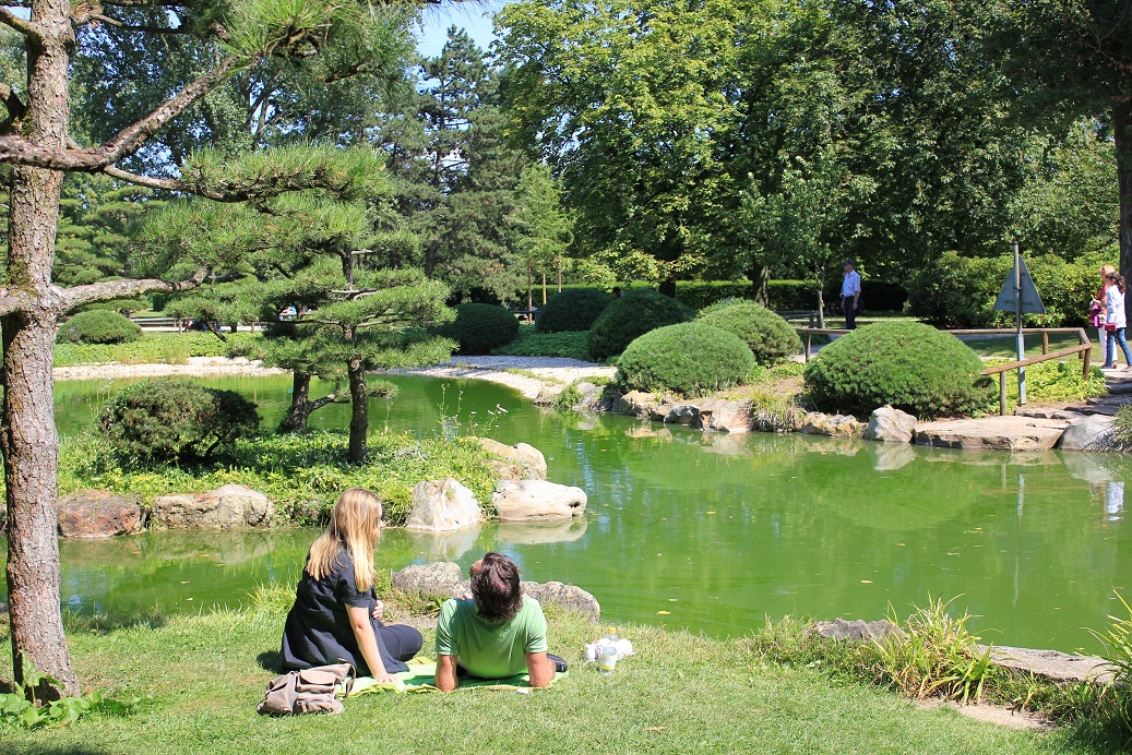 Guide To Getting Involved As An Expat In Dusseldorf