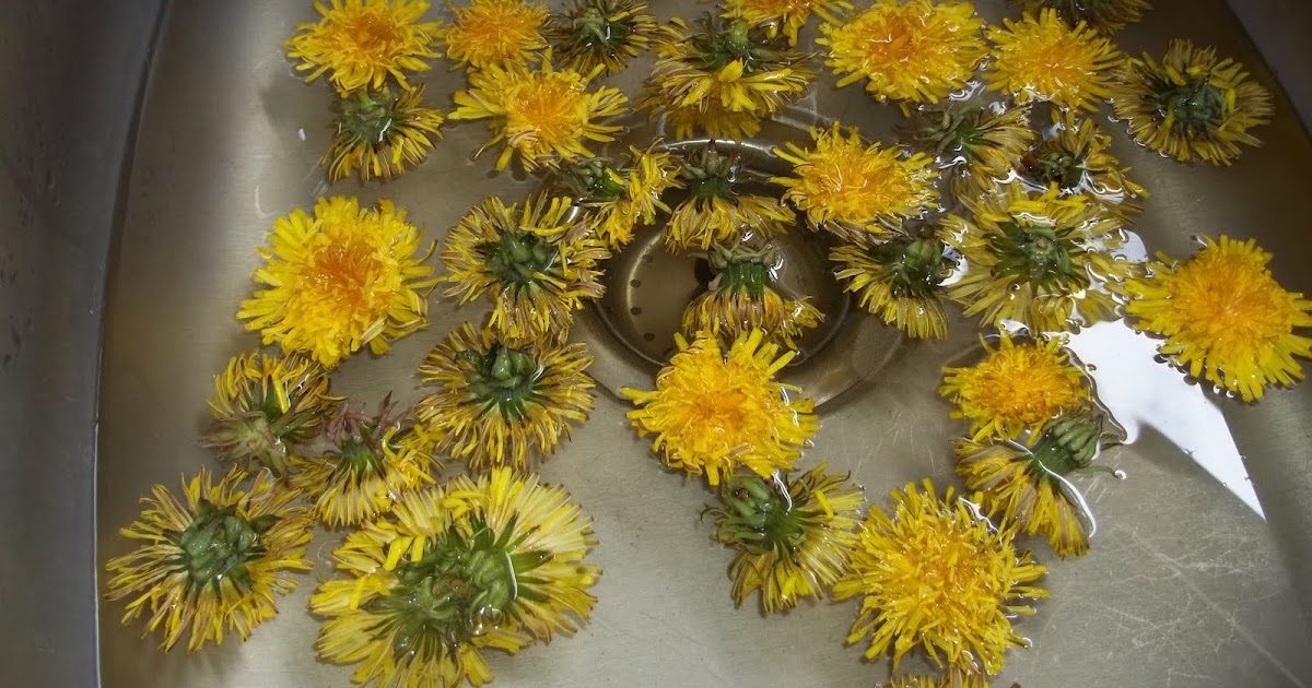 One Day At A Time Eating dandelion flower tops?