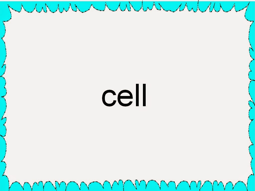 Student Survive 2 Thrive Medical Terminology Flash Cards Common