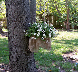 glenda's World : Using Anything and Everything to Decorate the Flower