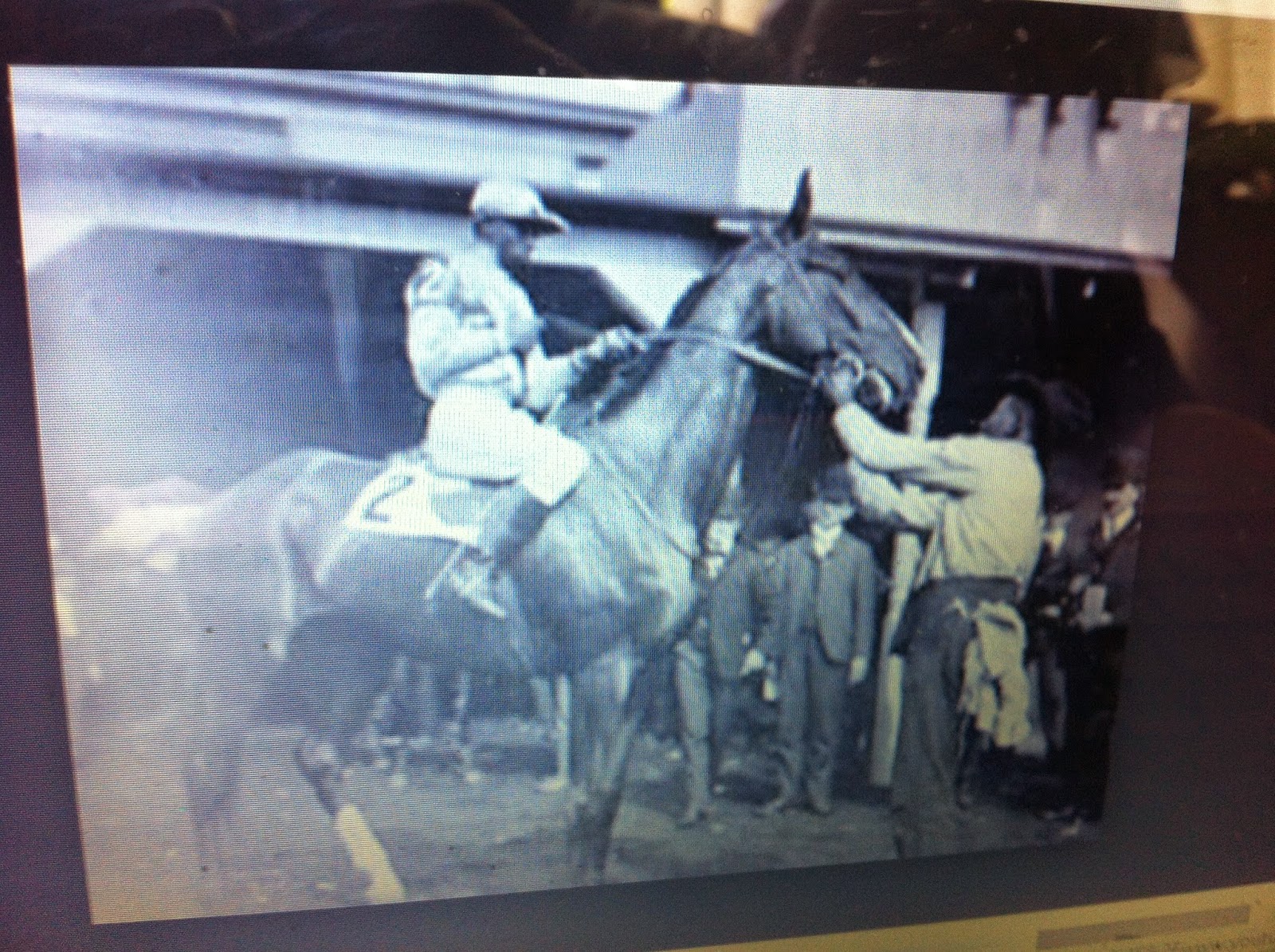 THE BLACK SOCIAL HISTORY BLACK SOCIAL HISTORY AFRICAN AMERICAN