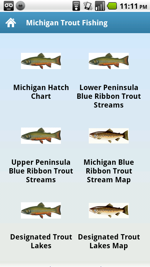 Fly Fishing Hatch Chart Michigan