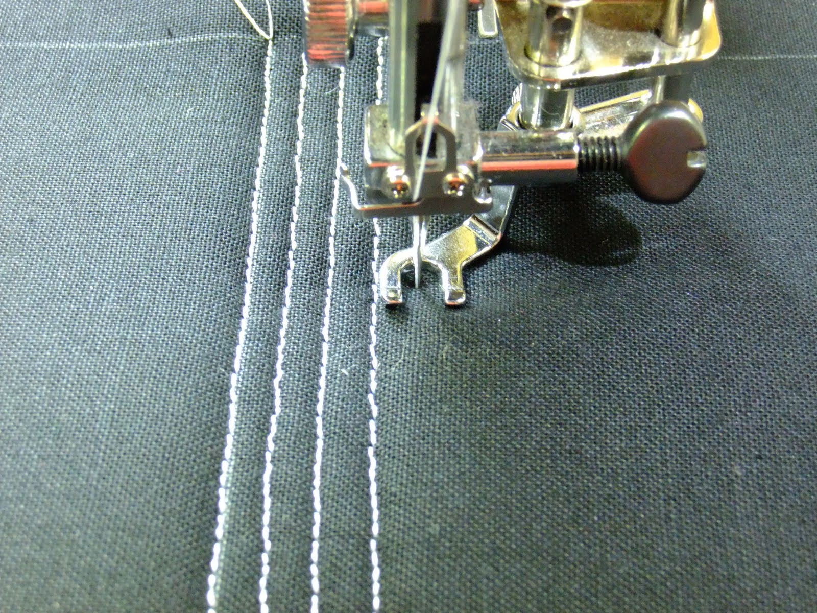 The Free Motion Quilting Project 5 Tips for Echo Stitching