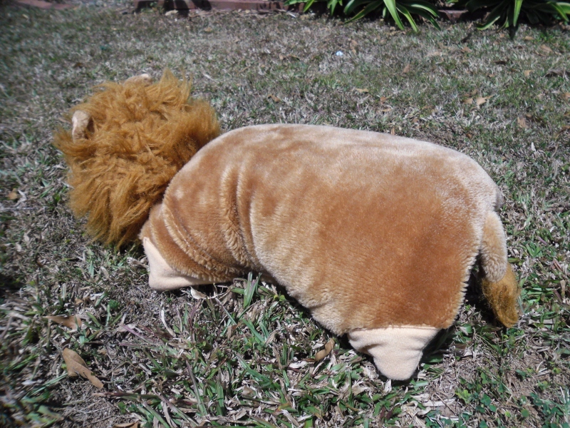 Creating my way to Success My own version of a pillow pet! another