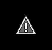 Ayesha Takia Wallpapers Ayesha Takia Wallpapers