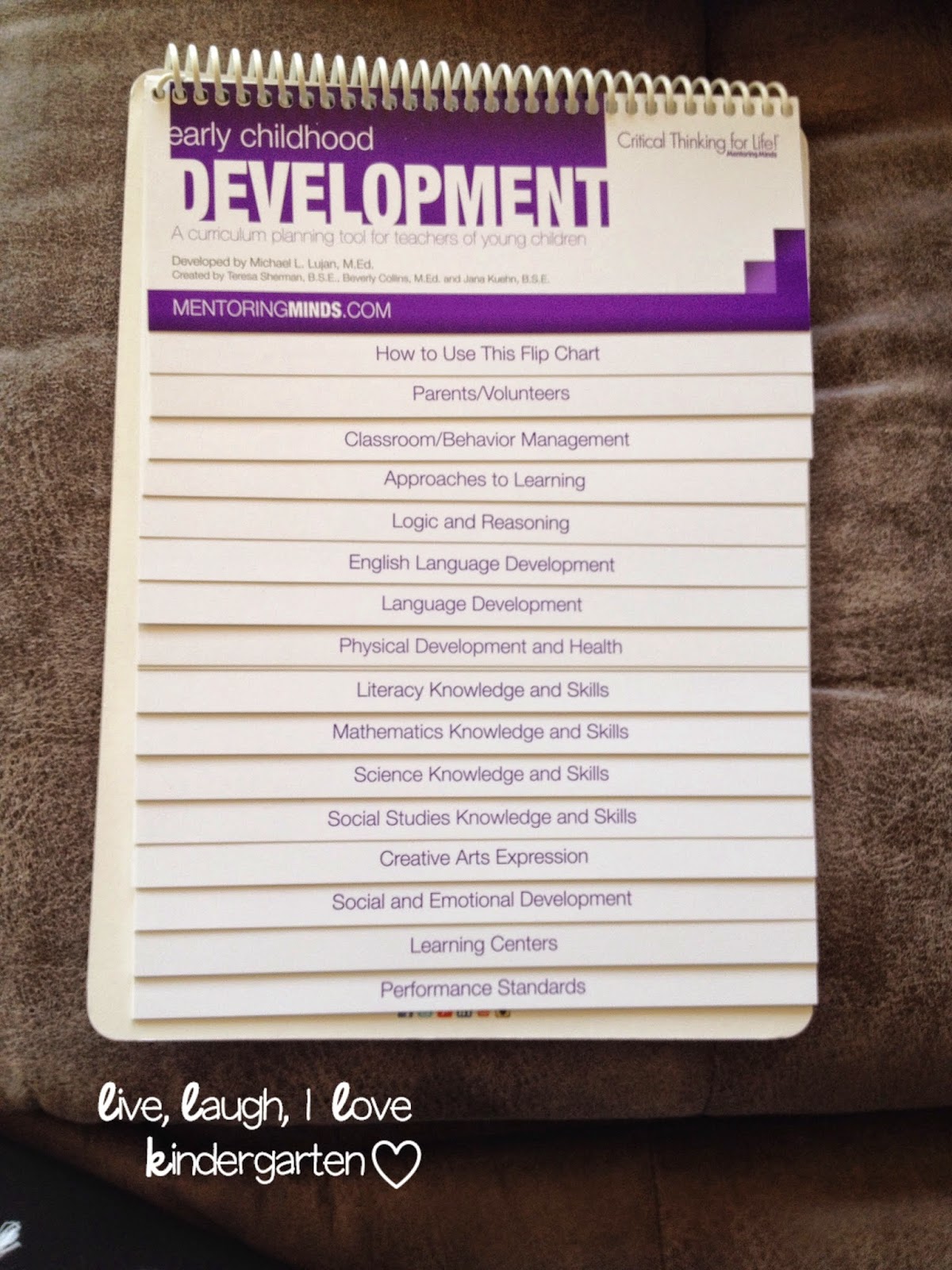 Mentoring minds behavior guide image