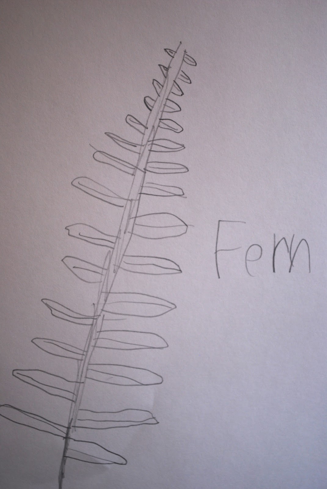 easy contour line drawing plant easy contour line drawing plant