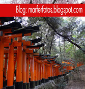 Fushimi Inari