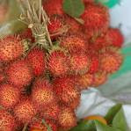 manfaat kulit rambutan, khasiat kulit buah rambutan,