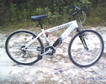 My mountain bike