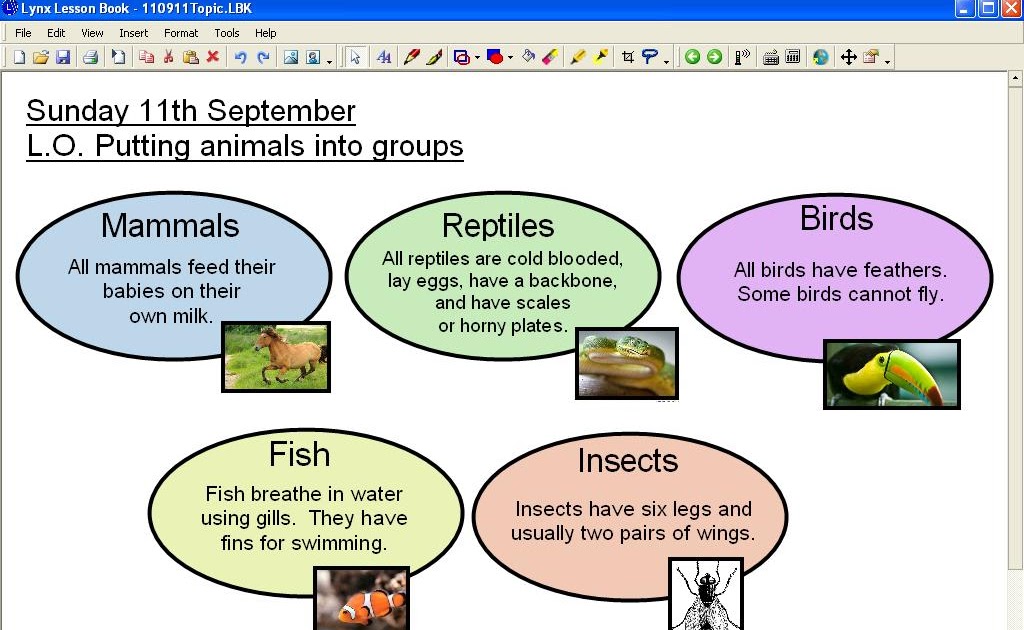 Mr Howe's Class: Topic: different types of animals