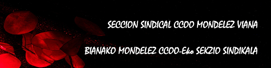 SECCION SINDICAL CCOO MONDELEZ VIANA