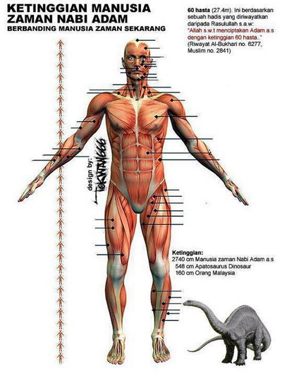 Benarkah%2BTinggi%2BNabi%2BAdam%2BAS%2BMencapai%2B30%2BMeter.jpg