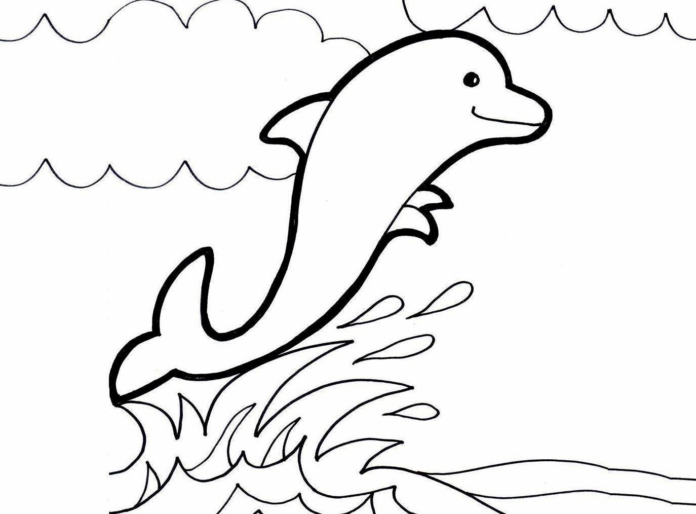 Beautiful Dolphin Coloring Pages For Desktop