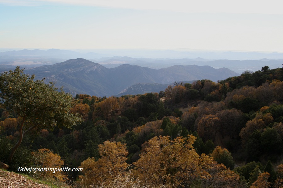 The Joys of Simple Life My Top Ten San Diego Hikes (9) Palomar
