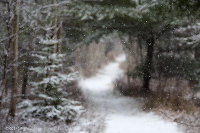 winter woodland