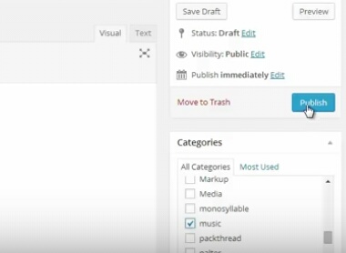 How to Add Tags To Your Wordpress Blog Post