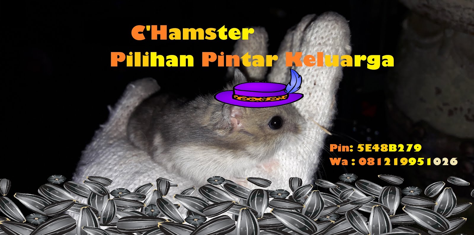C'Hamster