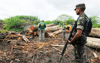 El ejército brasileño ha llegado a la zona para detener la tala ilegal alrededor de la tierra de los awás.