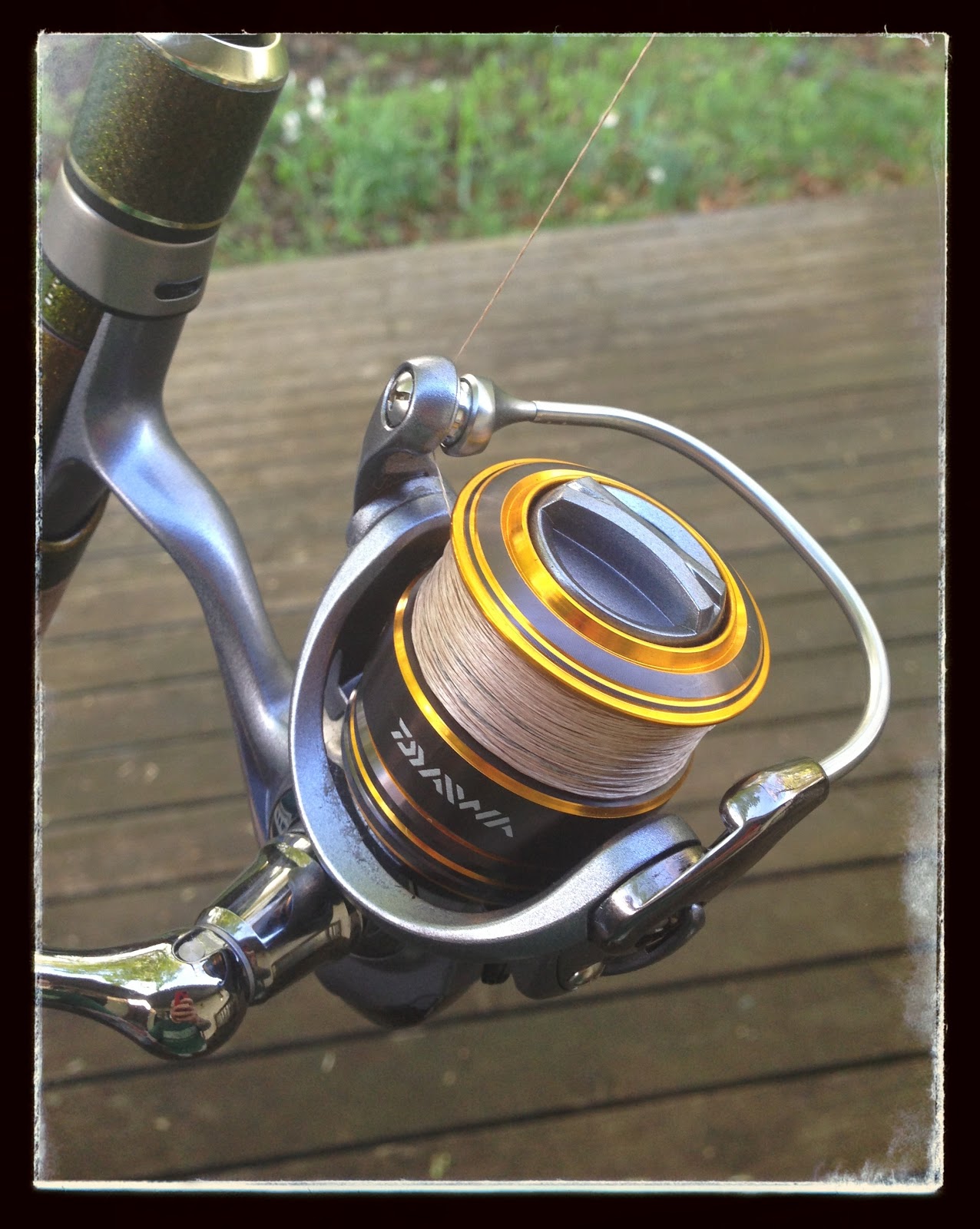 daiwa lexa 2500