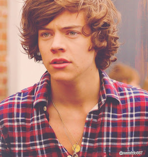 Harry Styles golden hairs 2013