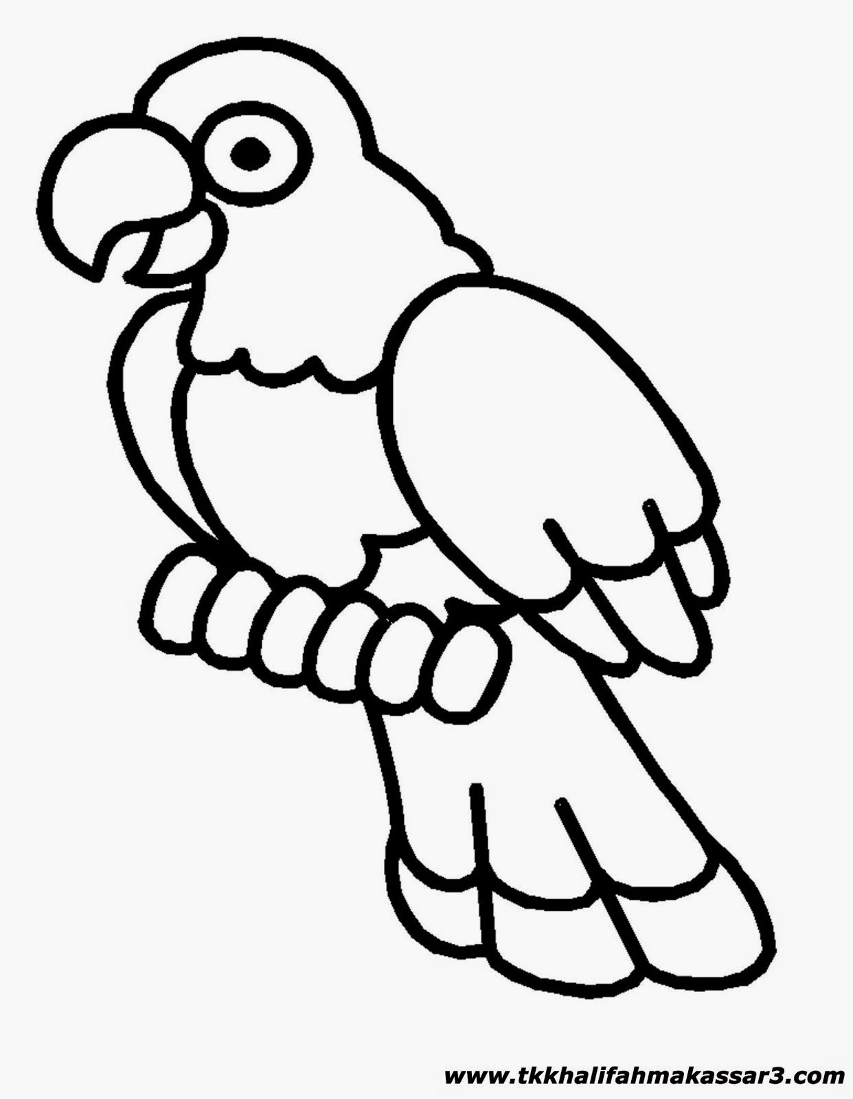 Gambar Mewarnai Burung Gambar Mewarnai Burung