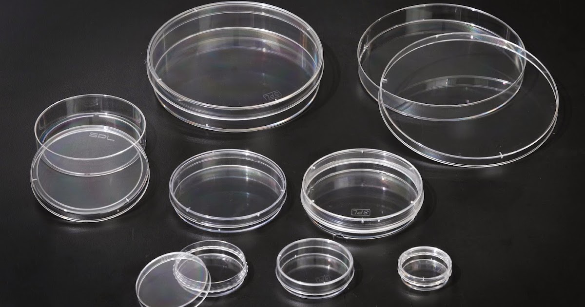 SPL LIFE SCIENCES CO., LTD. Cell Culture Dish