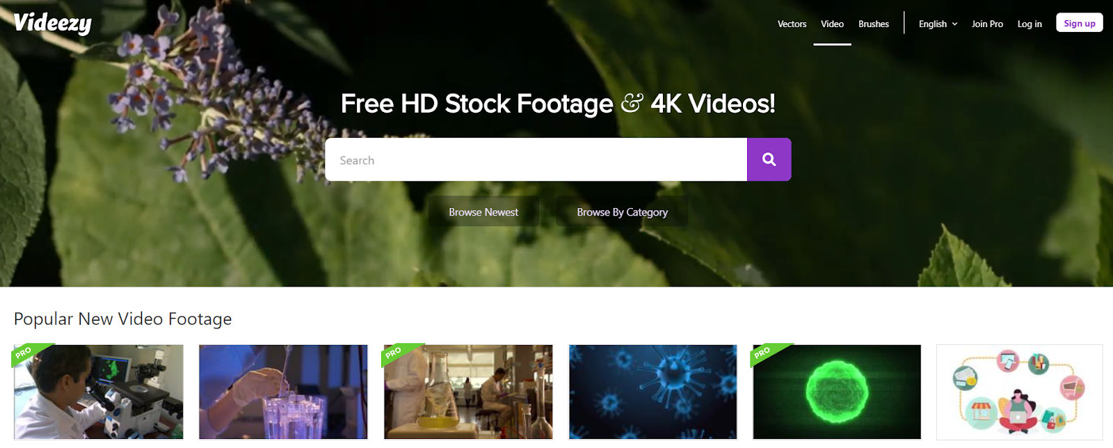 videezy is a website for stock footage