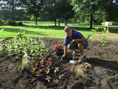 Bkw 17 Novelties 2014 By Stichting Vakinformatie Siergewassen Issuu