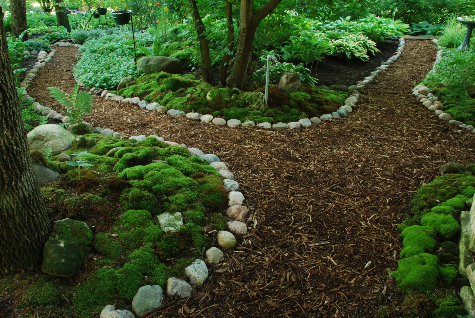 Rotary Botanical Gardens Hort Blog Making Of A Moss Garden