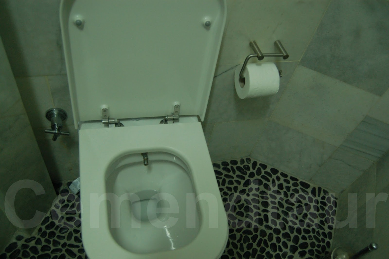 Turkey, Armenia, Azerbaijan, Iran The combo WCBidet toilet
