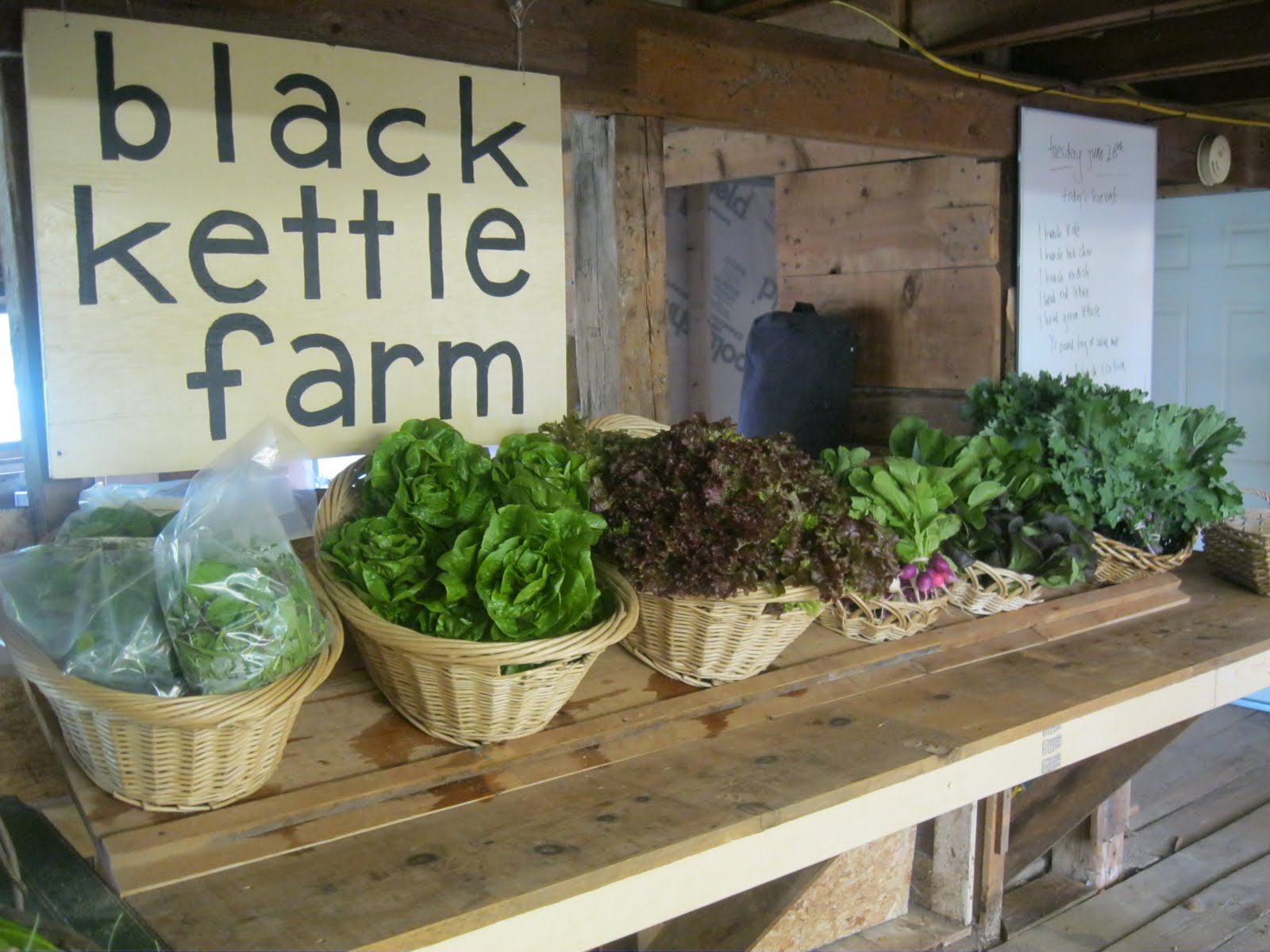 black kettle farm Community Supported Agriculture