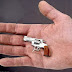 World's Smallest Gun