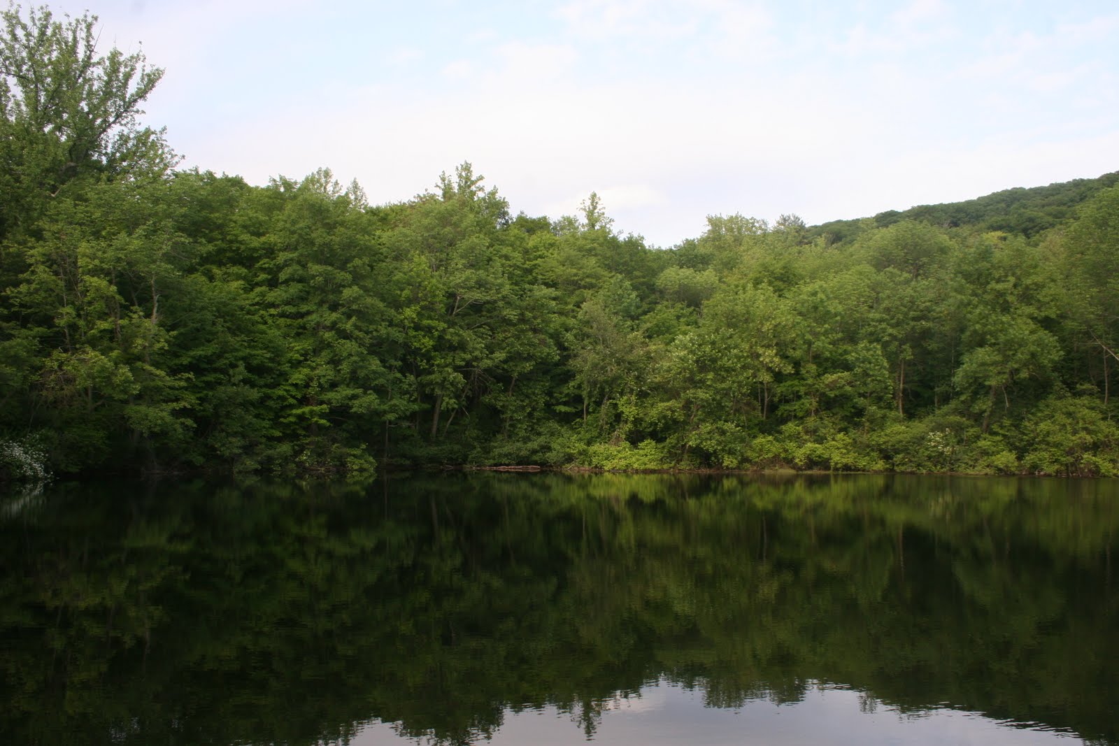 Biodiversity in Northeast NJ Ramapo Mountains National Biodiversity