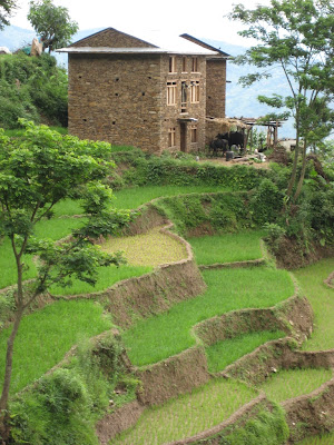 Nepal House Village with beautiful Trees