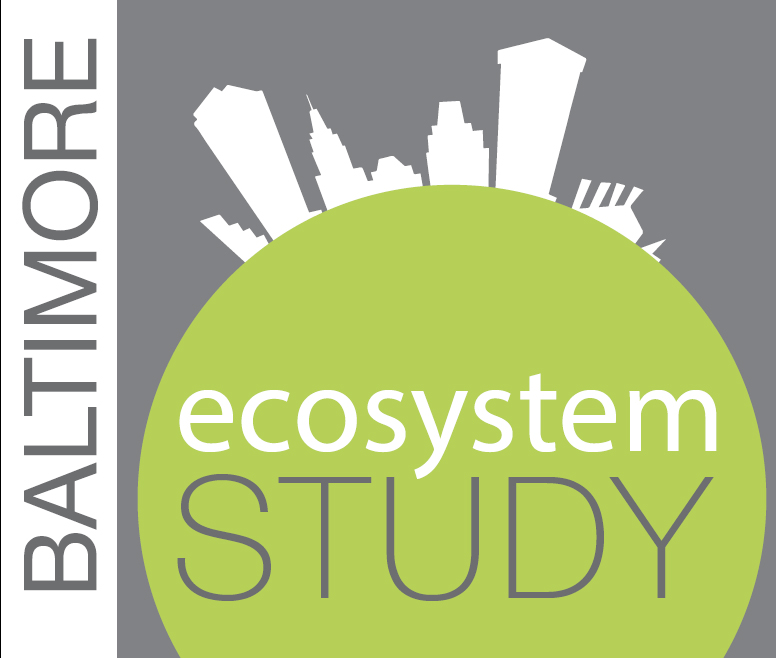 Image result for christopher swan umbc