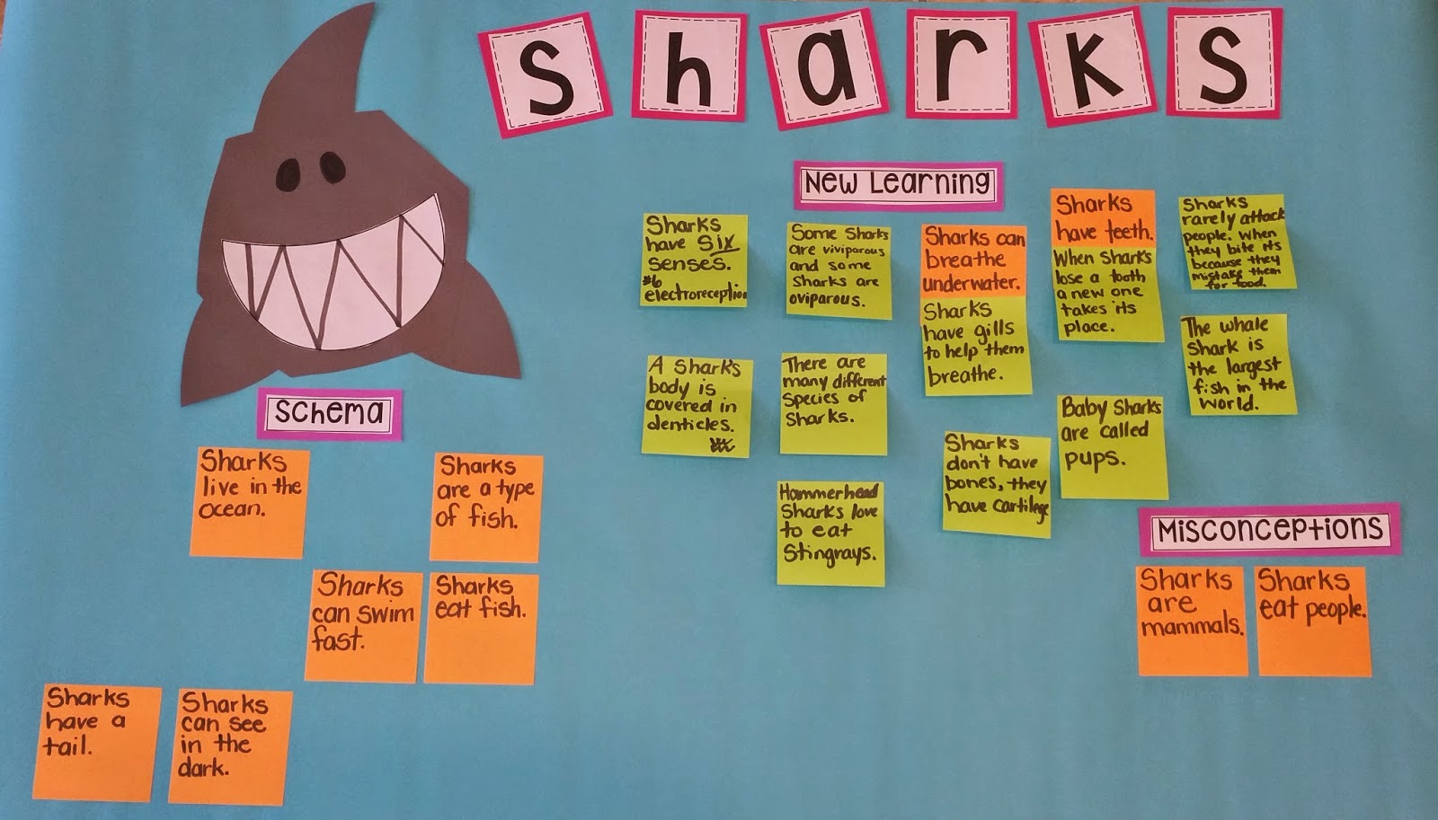 shark schema chart teaching with intention mrs jumps class teaching chart