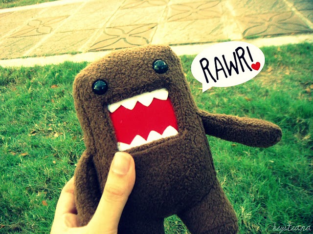 Domo Kun Rawr