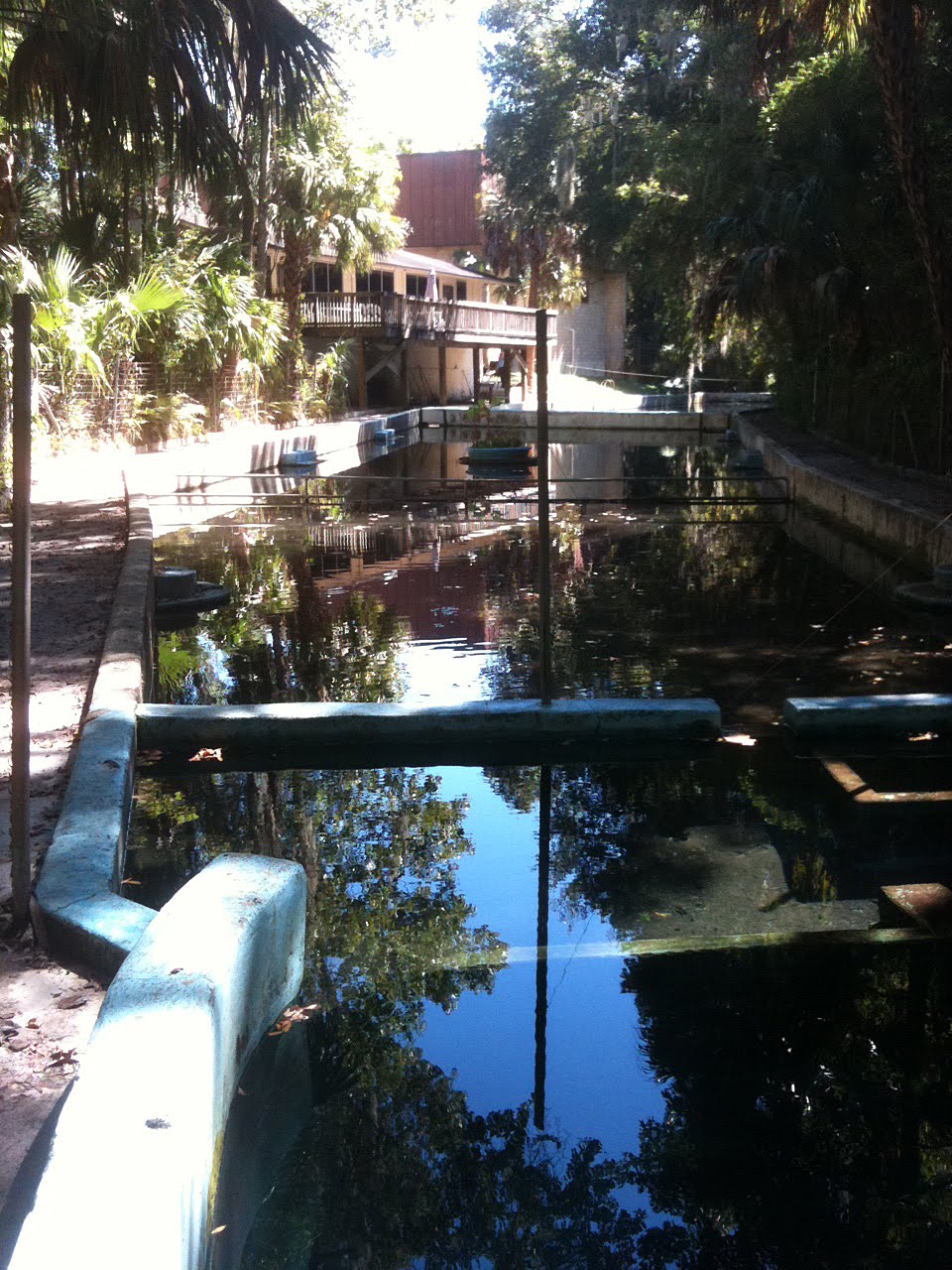 Old Florida Gainesville's Glen Springs