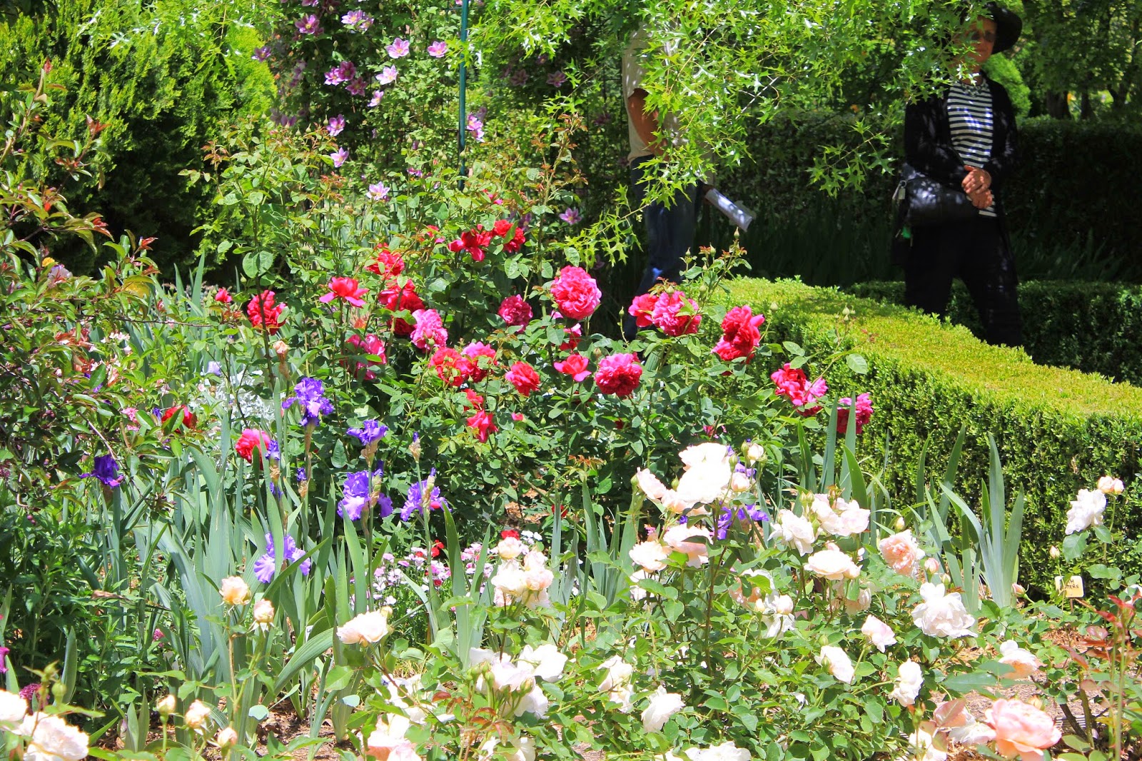 Liz Needle November 2014