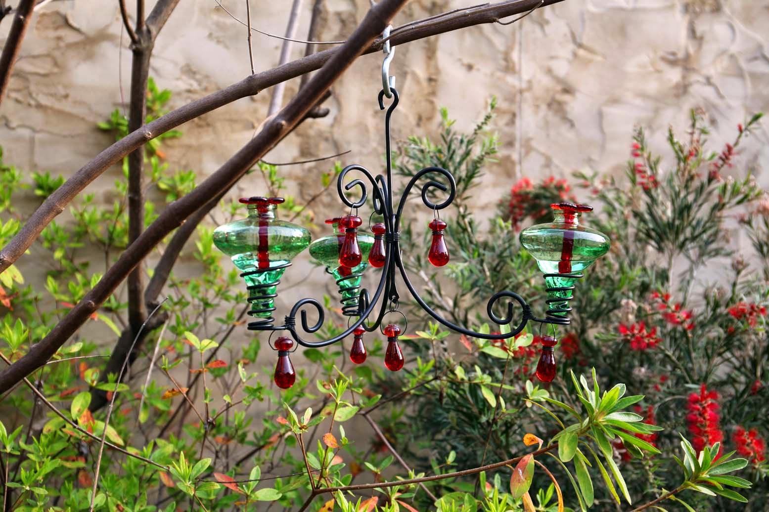 Southern Lagniappe First Hummer Boil To Dissolve Sugar And Cool Before Filling Feeders Hung My New Chandelier Hummingbird Feeder Near The Bottle Brush Plant So He Can Find It