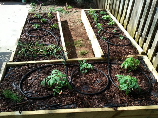 My Northern Virginia Raised Bed Garden