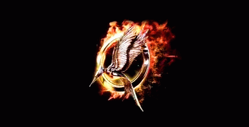 The Hunger Games - Catching Fire