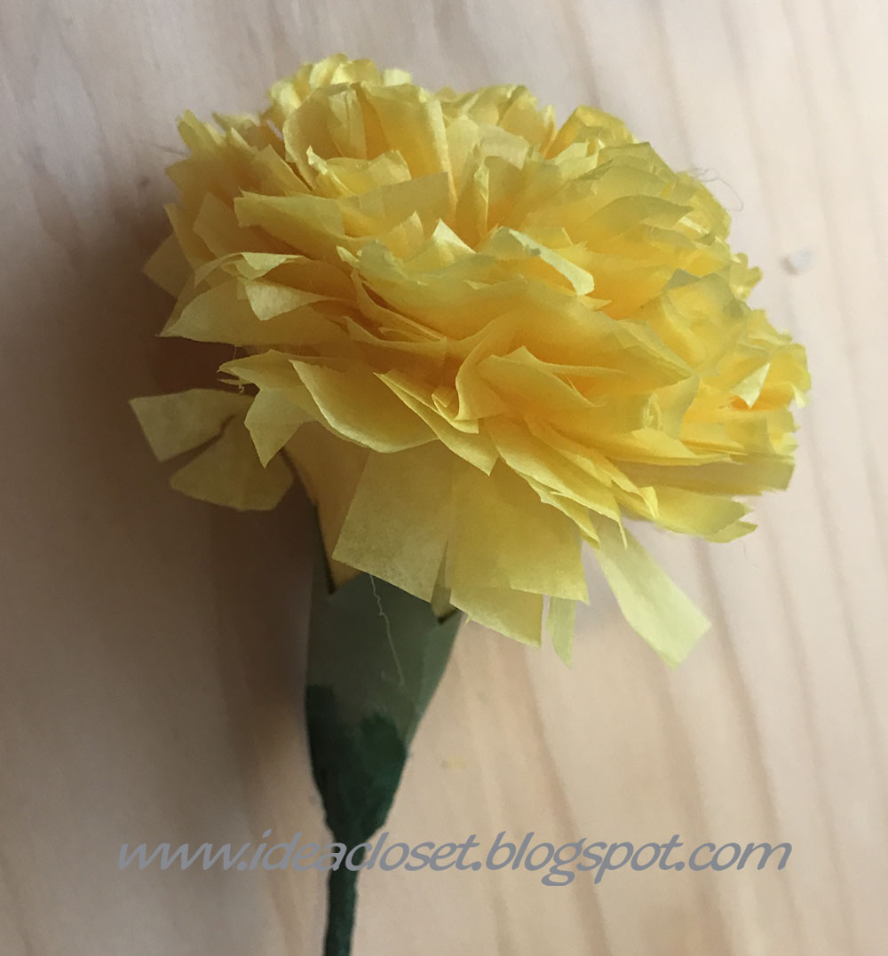 Tissue Paper Carnations and a BIG announcement Idea Closet
